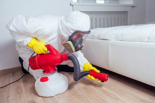 Best Bed Bug Extermination  in Bainbridge Island, WA